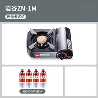 Mini Card Cooler+4 бутылки 250 г воздуха карты