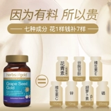 Австралийские травы золота и лайкана золота виноградных семя