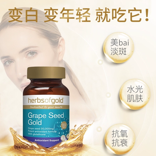 Австралийские травы золота и лайкана золота виноградных семя