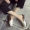 Giày cao gót đế xuồng không sành điệu 2018 cho mùa xuân và hè mới phiên bản Hàn Quốc của đầu vuông ngọc trai hoang dã với dép lười baotou giày sandal nữ đi học