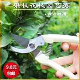 Обрезка филиалов ножницы для садоводства