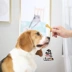 Singapore HappiDoggy Dụng cụ làm sạch răng cho chó mèo Phần thưởng răng cho chó có xương 150g  Túi - Đồ ăn vặt cho chó