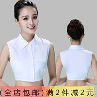 Универсальный фальшивый воротник, демисезонная рубашка, белая летняя шифоновая утепленный лонгслив, 2023, в корейском стиле
