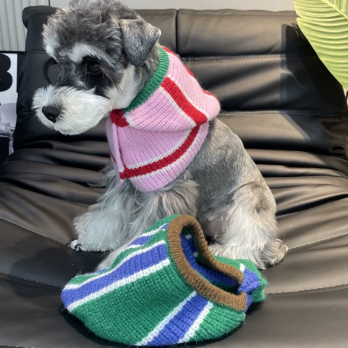 СОБАКА ПЕЧАТКА ШАЛИ В ЗИМА