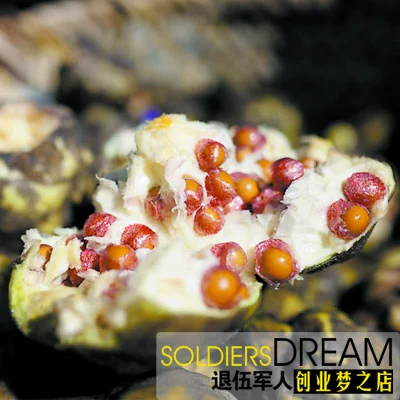 鐗 鏂 鐗 浼樿 浼樿 浼樿 鏂 浼樿 浼樿 ″ ″ 绫 绫   鑺 鑺 ″ ​​″ 橀 橀 橀 鍏 彲浠 彲浠 彲浠