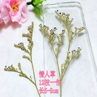 Трава любовника*12 ветвей