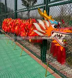 Dragon Dragon Dragon Road Полное соревнование дракон -дракон -дракон оксфордский ночной свет, световой дракон, дракон, дюймовый девять -дракон дракона, булонг