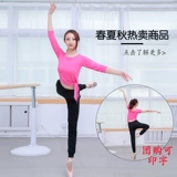 Летние штаны подходит для мужчин и женщин для взрослых, спортивная одежда, комплект, комбинезон