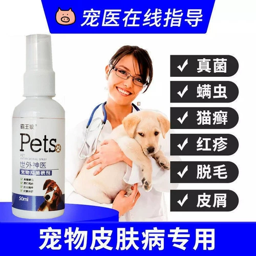 Повелитель Волк мир Gyeenia Pet Bacterbinomy Speed ​​Scem Skin Mitton Misce Moss Adware Dandruff Cats 2 Get 1