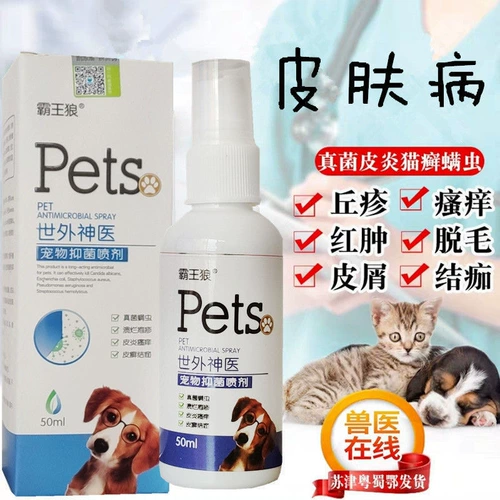 Повелитель Волк мир Gyeenia Pet Bacterbinomy Speed ​​Scem Skin Mitton Misce Moss Adware Dandruff Cats 2 Get 1