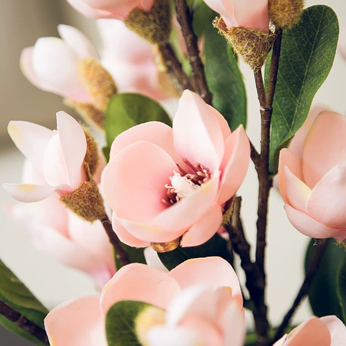 Meidi Snow Magnolia Одиночный цветочный цветочный материал шелк цветочный цветок моделирование цветы цветочные спальни гостиная кофейня Декоративные цветы