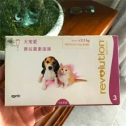Thú cưng lớn yêu thích tẩy giun trong ống nghiệm chó con chó con Teddy chó mèo in vitro tẩy giun trong hộp - Cat / Dog Medical Supplies