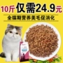 Rui thưởng thức 5Kg mèo tự nhiên thực phẩm cá biển hương vị mèo mèo đi lạc mèo staple thực phẩm 10 kg nhiều tỉnh hạt royal canin