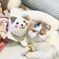 Японская подушка, комфортная успокаивающая универсальная игрушка, можно грызть, кот