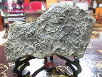 Swallow Stone Three -Leaf Fossil Fossil Fossil Laiwu Qi Stone Crafts Collection Спецификации оригинальной каменной симагон