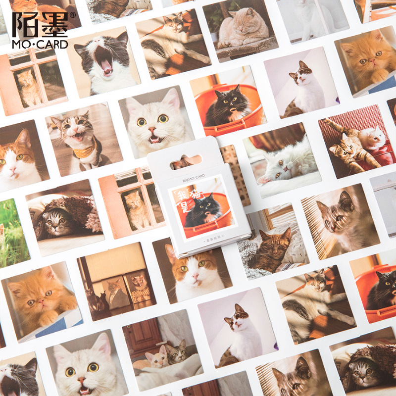 I'm A Cat (45)do my Meow little cat Hand account diary Stickers Cartoon lovely decorate album diy Stickers seal box-packed stick