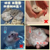 Алиса повесила навеса салон купание купание пудвое туалет, приготовленный в окрашенном масле и вонючий аромат, чтобы предотвратить гриб