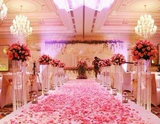 Новые лепестки розовые лепестки Свадьба Свадебная свадебная
