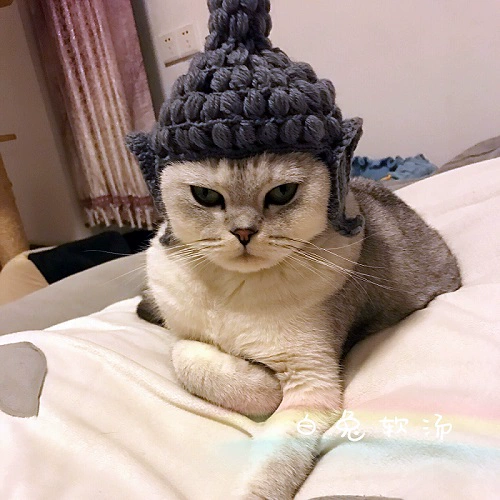 Будда шерстяная шляпа шляпа шляпа вязаная шляпа шляпа плюшевая собака