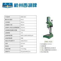 Hangzhou West Lake Brand ZWG-4A/ОДИН Фаза 220V