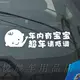 Есть дети в китайских автомобилях с анти -светлыми моделями