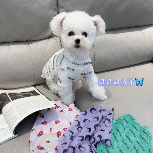 Летний сезон Pet Puppy Dog Dog Cath Одежда сетевая защита от солнца сет