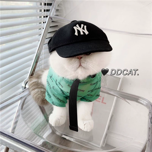 Летний сезон Pet Puppy Dog Dog Cath Одежда сетевая защита от солнца сет