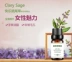 Yuelu trung tâm tinh dầu đơn phương trung tâm hiền triết tinh dầu hiền triết 10ml nhà sản xuất hương liệu tự nhiên - Tinh dầu điều trị