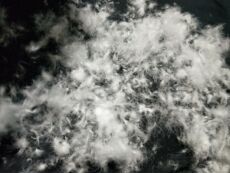 Вниз наполнителя 90-95鸭绒大朵绒羽绒服填充物羽绒被