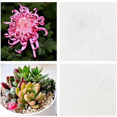 Бумага для рисования 高尔乐彩铅专用线稿 花卉集 动物集