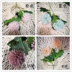 Mô phỏng Hyacinth Hydrangea Dandelion Onion Ball Home Living Room Trang trí Hoa Đặt hoa Hoa giả Hình xăm - Hoa nhân tạo / Cây / Trái cây cây mai giả trang trí tết Hoa nhân tạo / Cây / Trái cây