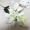 Hoa mô phỏng đơn hoa hoa giả sàn hoa trang trí phòng khách trang trí hoa nhân tạo bằng nhựa 2 hoa 1 Lei Lily - Hoa nhân tạo / Cây / Trái cây