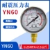 YN60 địa chấn máy đo áp suất xuyên tâm 0-1.6MPa địa chấn thủy lực áp suất nước áp suất không khí máy đo chân không máy đo áp suất âm loại con trỏ 