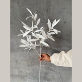 Оливковые ветви симуляция свадебная день