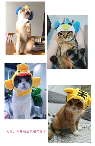 ПЭТ -головная дыра, собачья собака универсальная милая шляпа собака голова головы ювелирные изделия забавные сцены