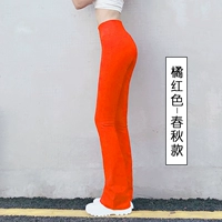 Оранжевый красный [весна и осенняя панда]