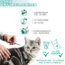 Đuôi hẻm, tẩy giun trong ống nghiệm của mèo trong cơ thể mèo, mèo 2,5-7kg, ngoài thuốc trị bọ chét - Cat / Dog Medical Supplies