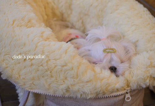 Spot R Корейская версия домашних животных и собак Тедди Кингс Летнюю осень осень и зимняя машина выходит из сумки гнездо.