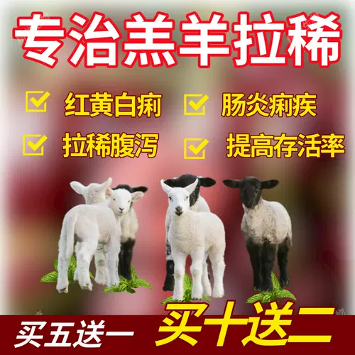 Lao Lao Lido Lamb Lamb