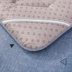 Dày lên 1.5m1.8m gạo nệm tatami gấp sàn ngủ pad giường đôi duy nhất 褥 sinh viên ký túc xá pad quilt Nệm