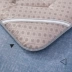Dày lên 1.5m1.8m gạo nệm tatami gấp sàn ngủ pad giường đôi duy nhất 褥 sinh viên ký túc xá pad quilt giá đệm Nệm