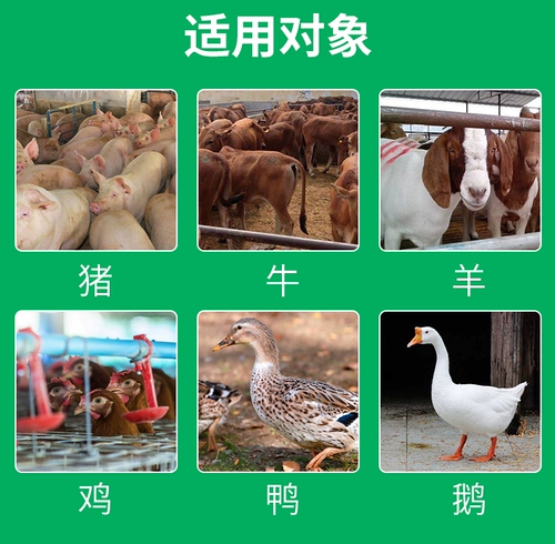 Зверь Боярышник аппетитный дрожжевой порошок свиная куриная утка, крупный рогатый скот, овца, диета, отек и селезенка, удобрения и множество добавок