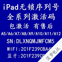 Планшет iPad Air Pro mini12345 Нет номера последовательности блокировки Проверка Wi -Fi Bluetooth Адрес код активации жесткого диска