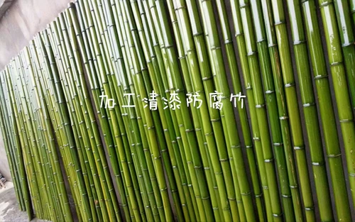 Бамбуковые стержни, огурцы огурцы, томатный виноград, бамбуковые столбы, бамбуковые столбы, бамбуковые столбы