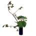 Jingdezhen Nhật Bản cắm hoa bình hoa góc màu xanh Nhật Bản nhỏ ban đầu bình hoa lọ hoa góc vuông - Vase / Bồn hoa & Kệ chậu đất trồng lan Vase / Bồn hoa & Kệ