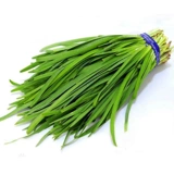 Ароматные семена лука маленькие листья старые сорта аромат богатый.