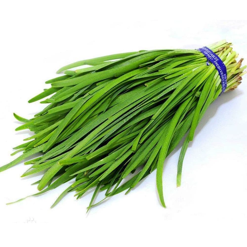 Ароматные семена лука маленькие листья старые сорта аромат богатый.