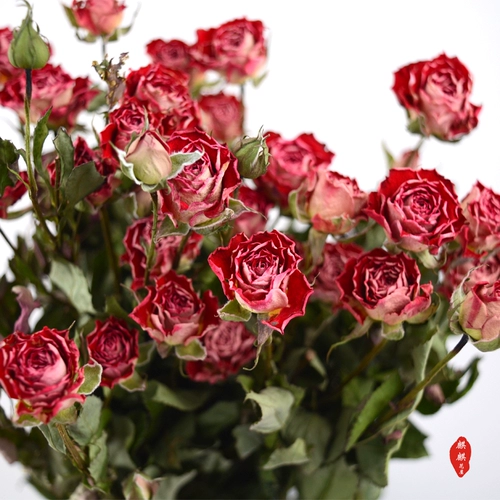 Юньнани сушеные цветы Роза Роза Поли -голод бриллиант маленький офис гостиной розы и другие декоративные цветочные композиции Diy цветочные материалы