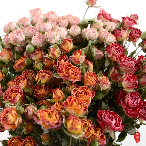 Юньнани сушеные цветы Роза Роза Поли -голод бриллиант маленький офис гостиной розы и другие декоративные цветочные композиции Diy цветочные материалы