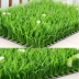 Bán hàng trực tiếp trong nhà cỏ giả với hoa nhựa cỏ mô phỏng cây xanh cỏ cao ban công mã hóa trang trí sân cỏ nhân tạo - Hoa nhân tạo / Cây / Trái cây
